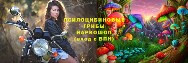 apvp Арсеньев