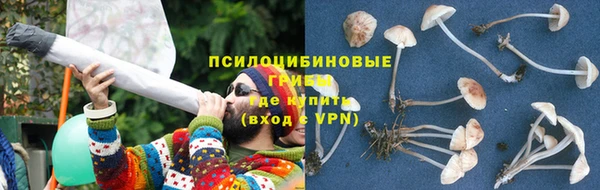 прущая мука Аркадак