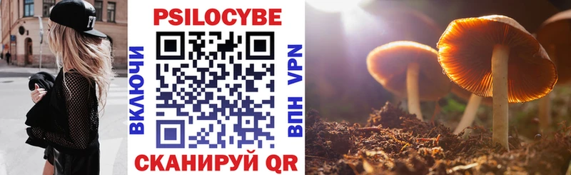 мориарти формула  Отрадный  Галлюциногенные грибы прущие грибы 